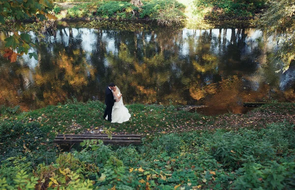 Hermosa pareja de boda —  Fotos de Stock