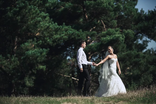 Schönes Hochzeitspaar — Stockfoto