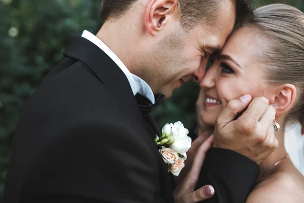 Hermosa pareja de boda —  Fotos de Stock