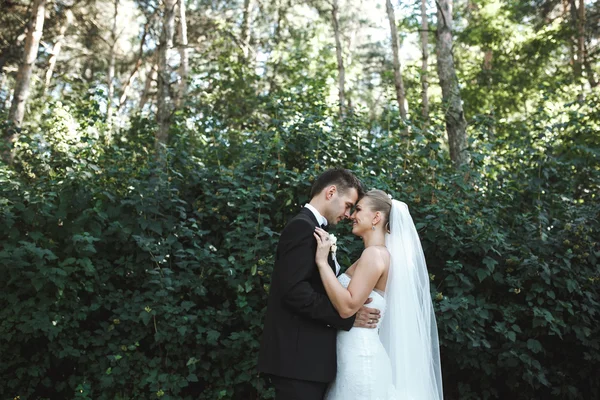 Casal lindo — Fotografia de Stock