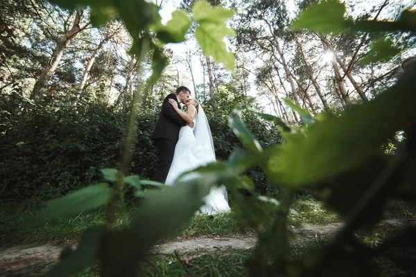 Bella coppia di nozze — Foto Stock