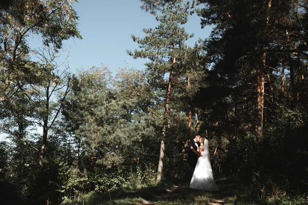 Прекрасная свадьба — стоковое фото
