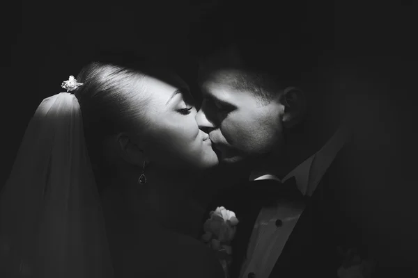 Hermosa pareja de boda — Foto de Stock