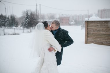 Gelin ve damat bir kış