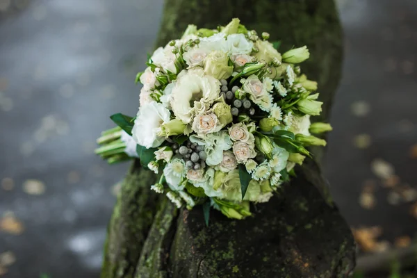 Very beautiful bridal bouquet — Stock Photo, Image