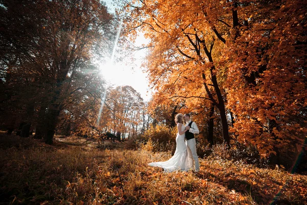 Hermosa pareja posando — Foto de Stock