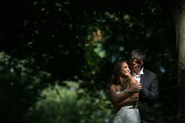 Mooie bruidspaar poseren in bos — Stockfoto