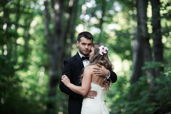 Hermosa pareja de boda posando en el bosque — Foto de Stock