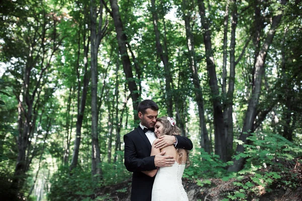 Прекрасная свадебная пара позирует в лесу — стоковое фото