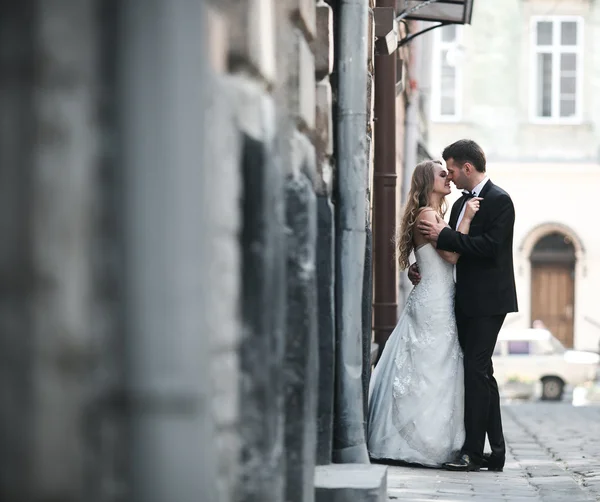 Preciosa pareja de boda besándose en la ciudad —  Fotos de Stock