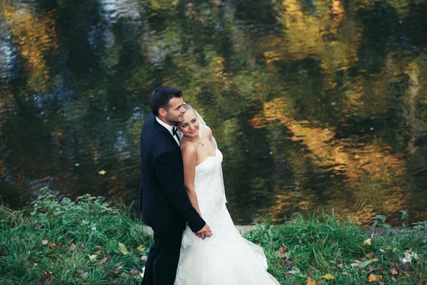 Beau couple de mariage posant dans la forêt — Photo