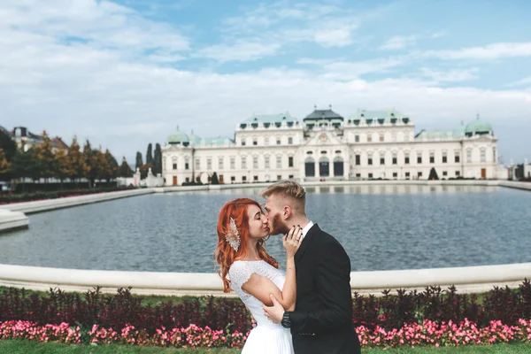 Wedding couple on a walk — Stock Photo, Image