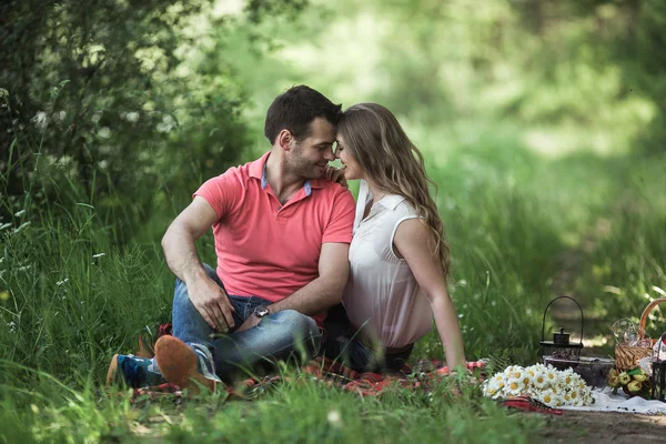 Et par på en piknik – stockfoto