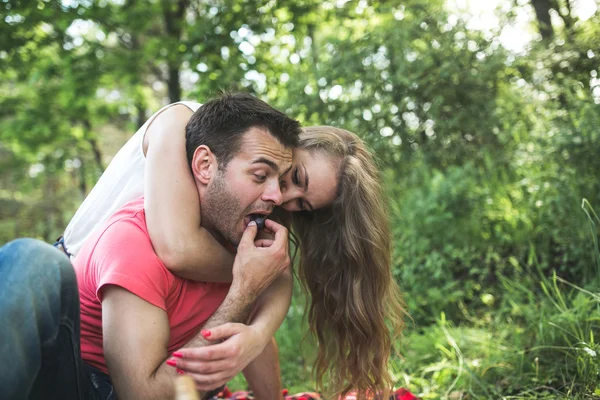 Pár egy piknik a — Stock Fotó