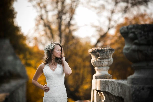 Bella sposa — Foto Stock