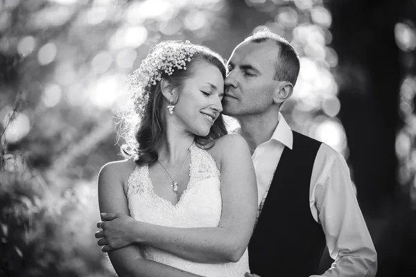 Beautiful couple posing — Stock Photo, Image