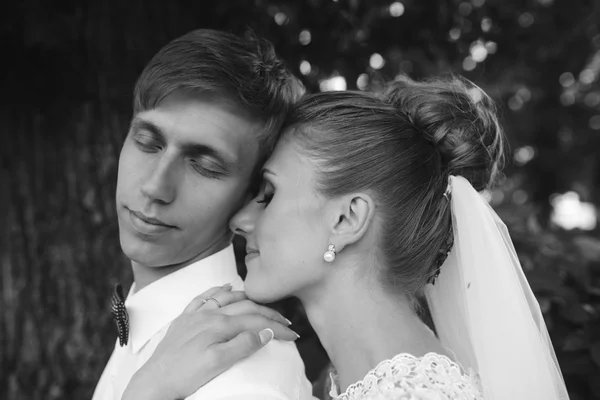 Bride and groom in the forest — Stock Photo, Image