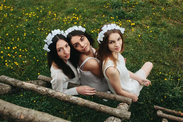 Tres hermosas chicas — Foto de Stock