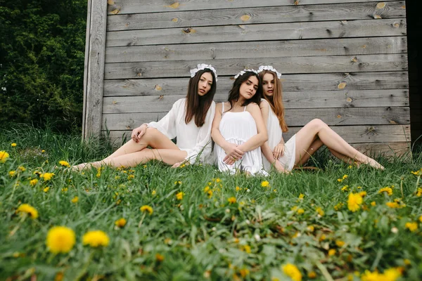 Trzy piękne dziewczyny. — Zdjęcie stockowe