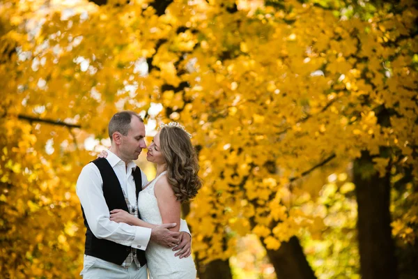 Casal bonito — Fotografia de Stock