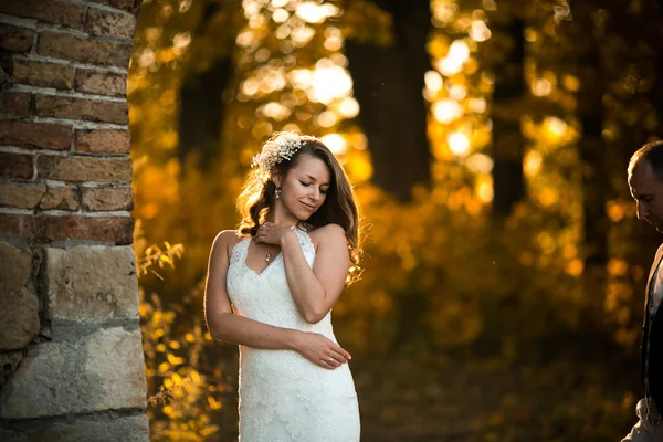 Beautiful couple posing — Stock Photo, Image