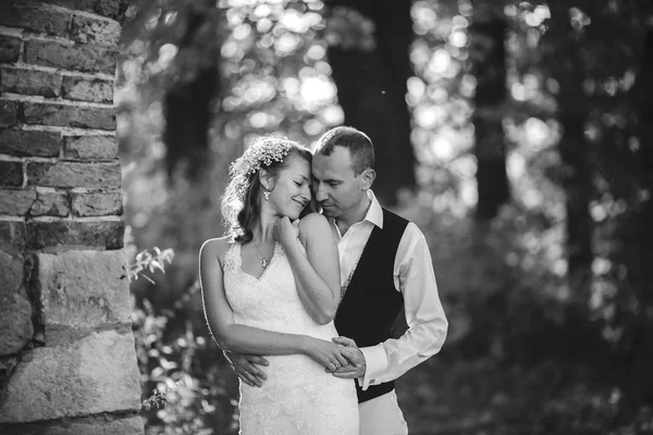 Beautiful couple posing — Stock Photo, Image