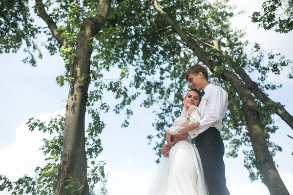 Gelin ve damat ağaç üzerinde — Stok fotoğraf