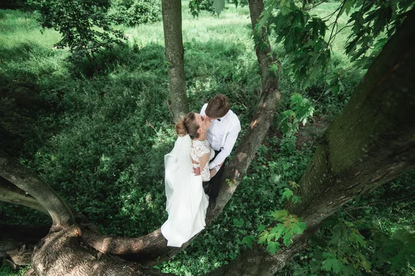 Bruid en bruidegom in het park — Stockfoto