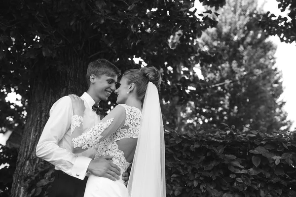 Nevěsta a ženich v lese — Stock fotografie