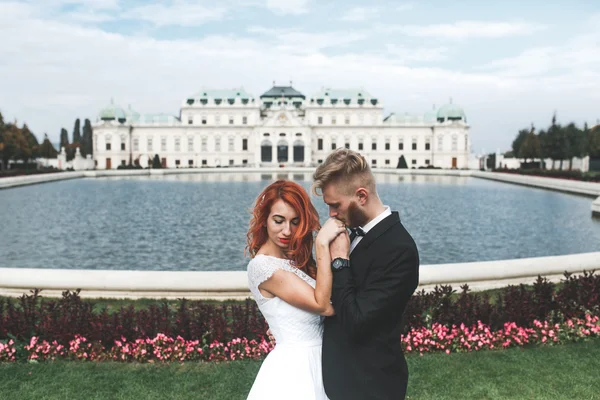 Wedding couple on a walk — Stock Photo, Image