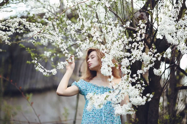 Retrato de uma bela menina árvores floridas — Fotografia de Stock