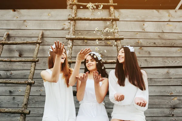 Tres hermosas chicas — Foto de Stock