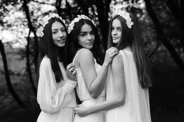 Drie mooie meisjes. — Stockfoto