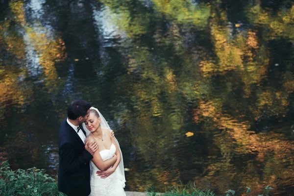 Hermosa pareja de boda posando en el bosque —  Fotos de Stock