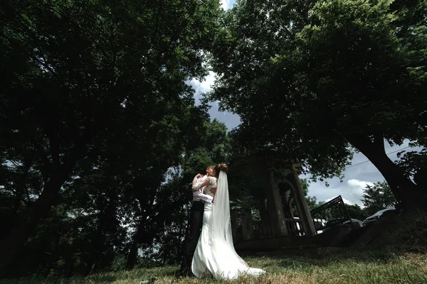 Novia y novio en el parque — Foto de Stock