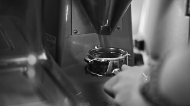 Barista samlar nymalet kaffe — Stockvideo