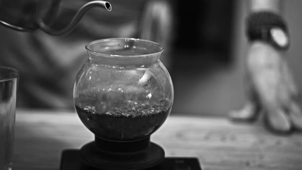 Barista derrama água para chá — Vídeo de Stock
