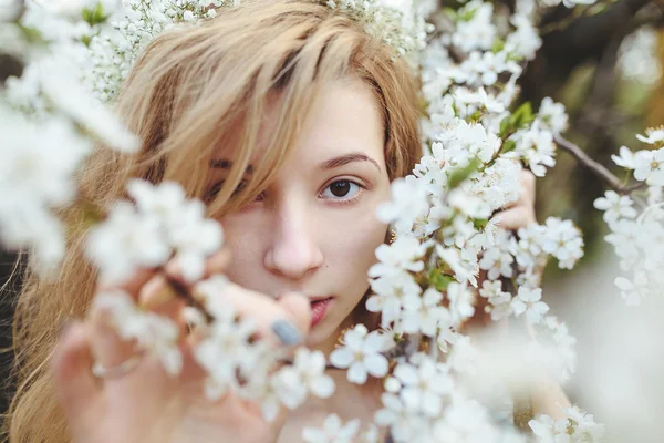 Portrait of a beautiful girl flowering trees — Stock Photo, Image