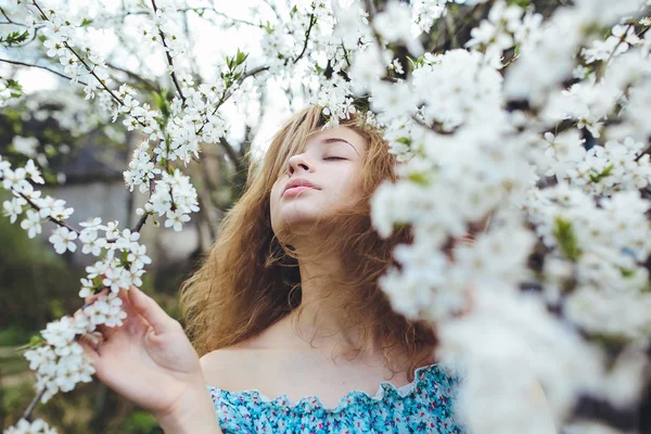 Portrait of a beautiful girl flowering trees — Stock Photo, Image