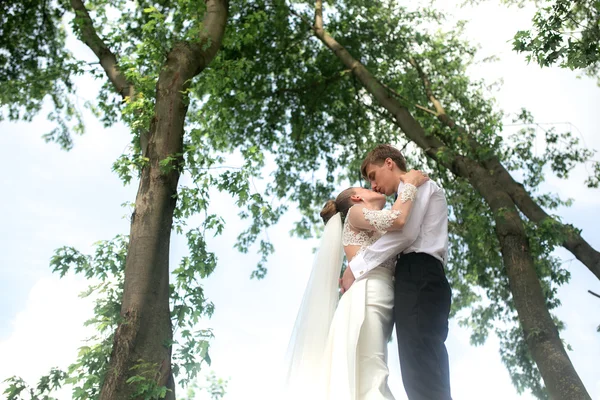 Bride and groom on the tree — Stock Photo, Image
