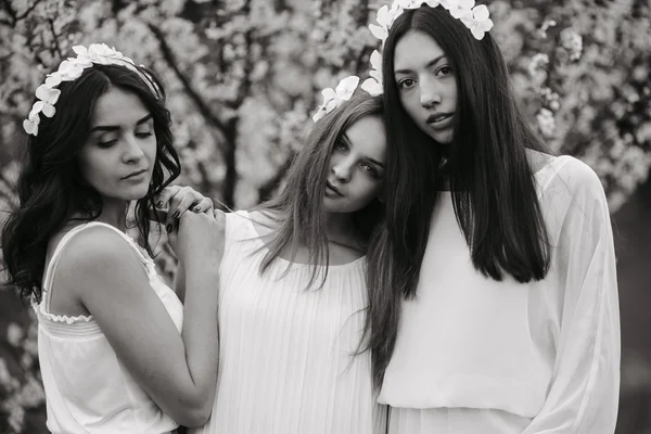 Three beautiful girls — Stock Photo, Image