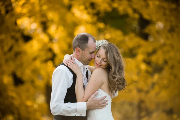 Beautiful couple — Stock Photo, Image