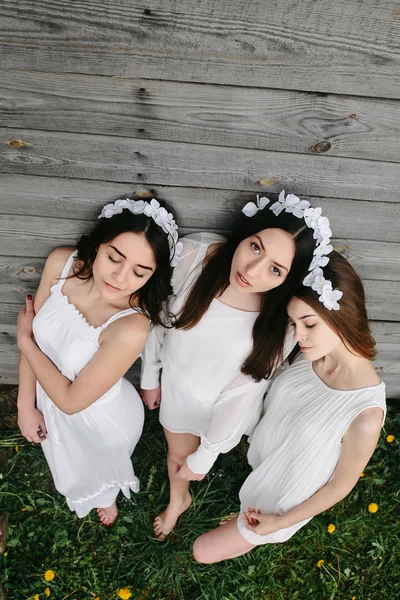 Üç güzel kız. — Stok fotoğraf