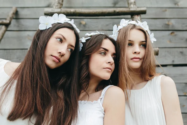 Three beautiful girls — Stock Photo, Image