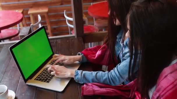 Две девушки что-то смотрят в ноутбуке — стоковое видео