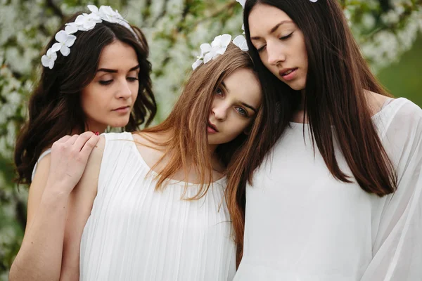 Три красивих дівчат — стокове фото