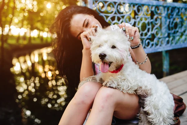 Flicka leker med en hund — Stockfoto