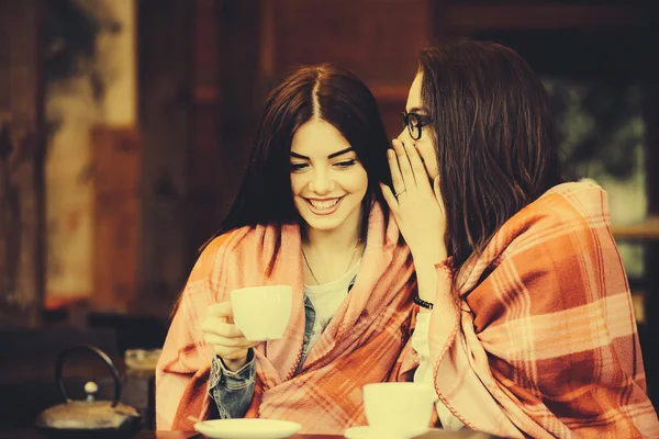 Duas meninas jovens e bonitas fofocando — Fotografia de Stock