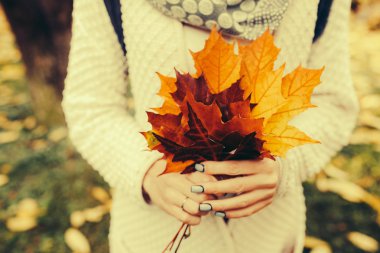 Sonbahar yaprakları kızların elinde