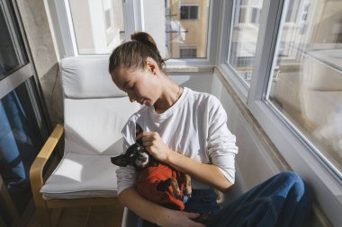 Parlak pencerenin yanında küçük köpeği nazikçe kontrol eden kadın, yumuşak dokunuş ve dikkatli ilgi, huzurlu ev bakım anı